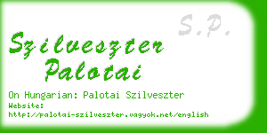szilveszter palotai business card